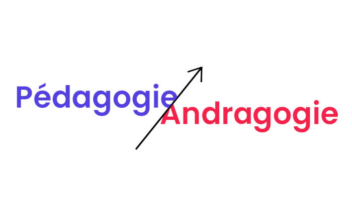 pedagogie vs androgogie 1