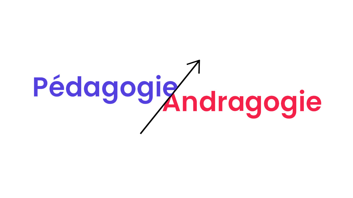 pedagogie vs androgogie 1