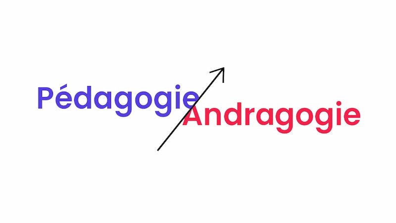 Quelle est la différence entre la pédagogie et l’andragogie ?