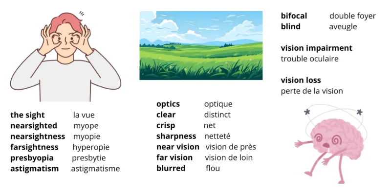 vocabulaire optique anglais vocabulaire optique anglais : the sight = la vue nearsighted = myope nearsightness = myopie farsightness = hyperopie presbyopia = presbytie astigmatism = astigmatisme optics = optique clear = distinct crisp = net sharpness = netteté near vision = vision de près far vision = vision de loin brurred = flou bifocal = double foyer bind = aveugle vision impairment = trouble oculaire vision loss = perte de la vision