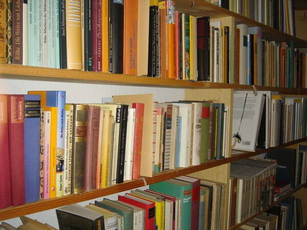Lire regulierement des livres en allemand