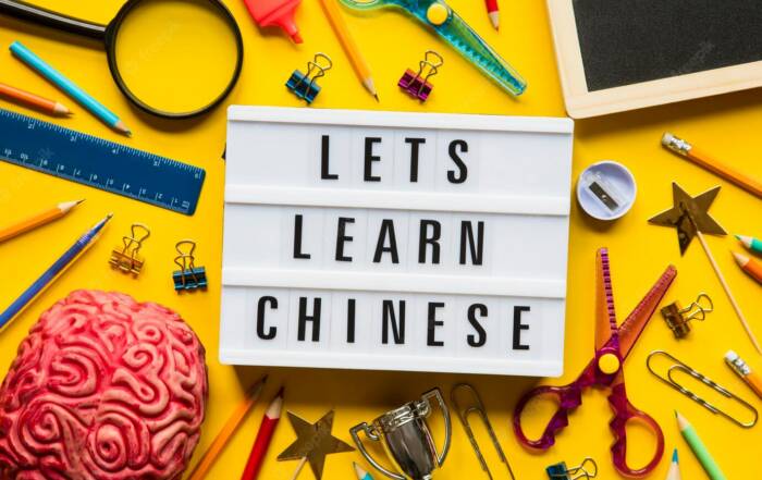 meilleure facon d apprendre le mandarin pour les nuls en ligne ou en presentiel e1666253060951