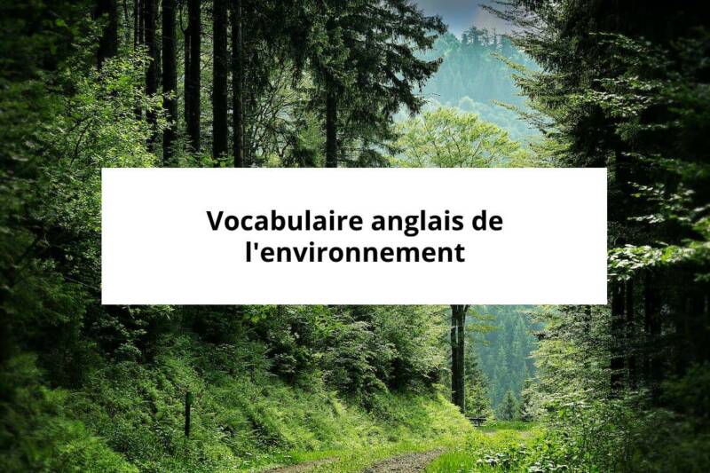 vocabulaire anglais des réseaux sociaux en PDF: Le guide