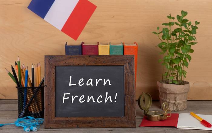 apprendre francais pour les pros quels cours en ligne choisir