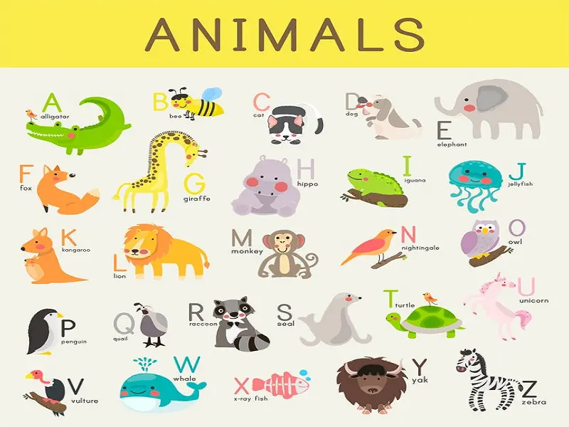 liste_des_animaux_sauvages_en_anglais_pdf liste_des_animaux_sauvages_en_anglais_pdf