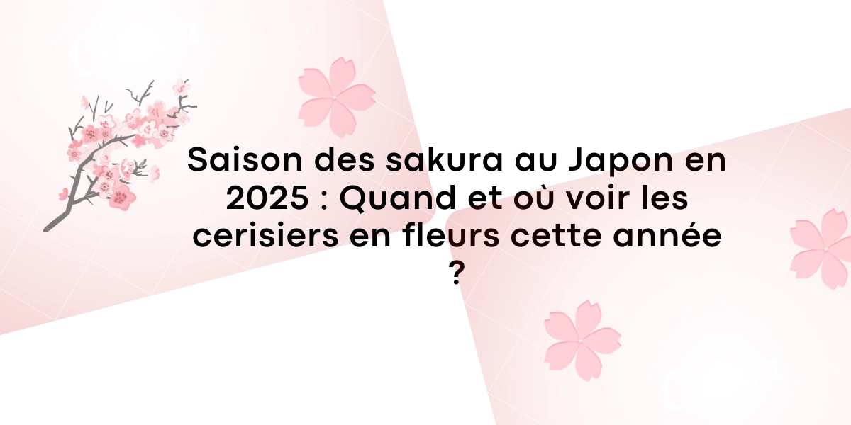 Saison des sakura au Japon en 2025 : Quand et où voir les cerisiers en fleurs cette année ?