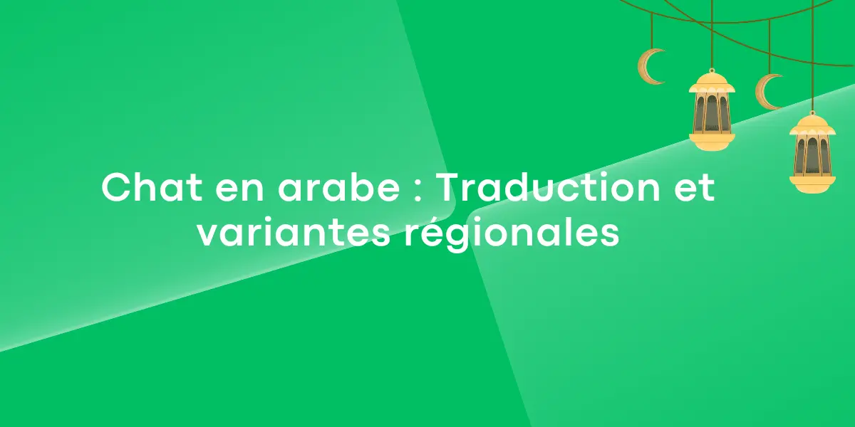 Chat en arabe : Sa traduction et ses variantes régionales
