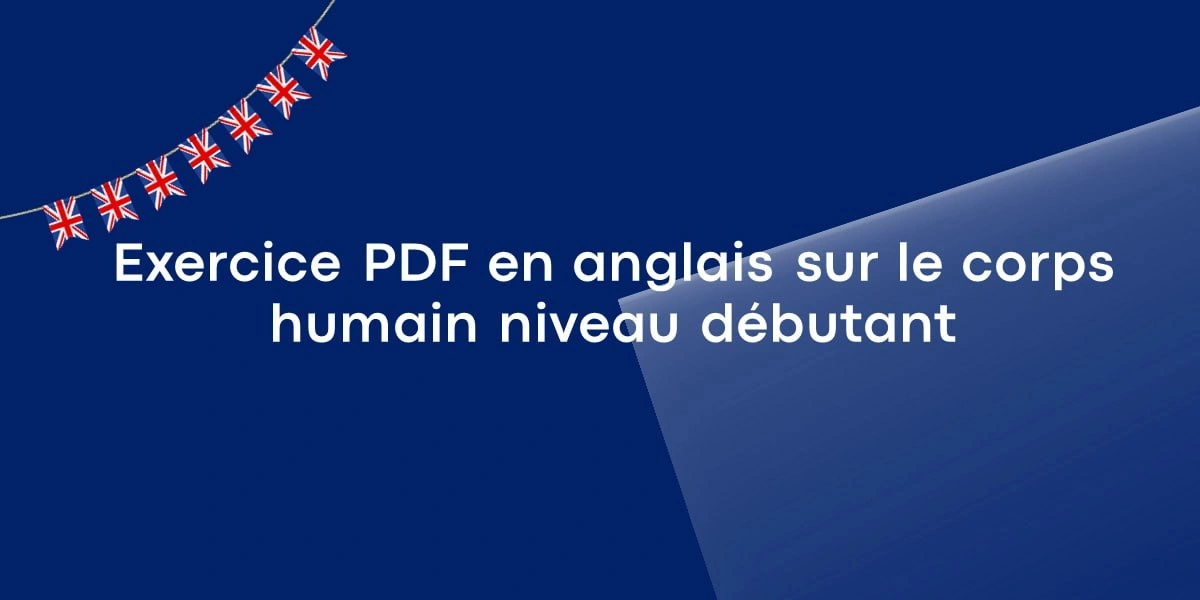 Exercice PDF en anglais sur le corps humain niveau débutant