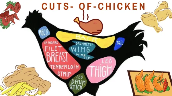 viande en anglais chicken