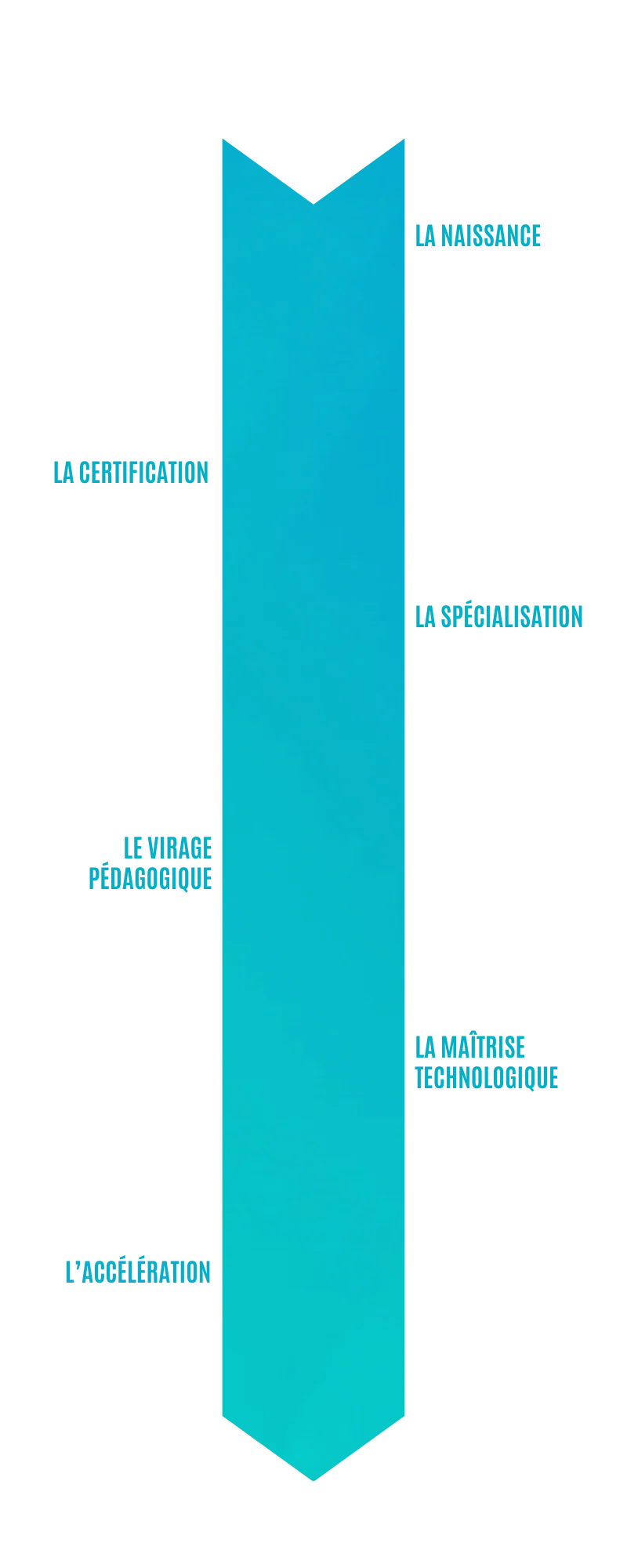 evolution historique de clic campus- frise chronologique entreprise evolution historique de clic campus- frise chronologique entreprise